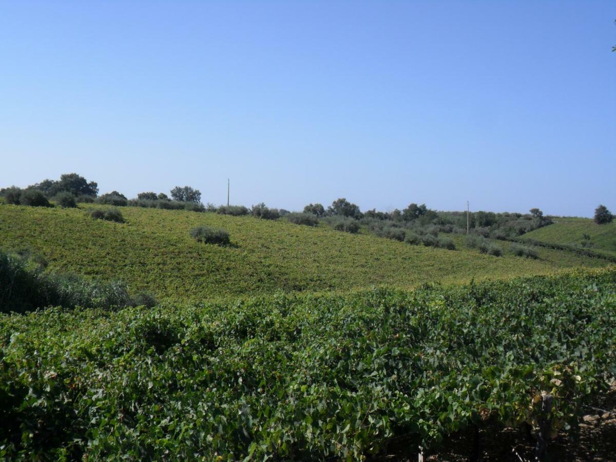 Villa Muchiarelli Crecchio Εξωτερικό φωτογραφία